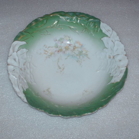 Gorgeous R.S. Prussia like porcelain bowl